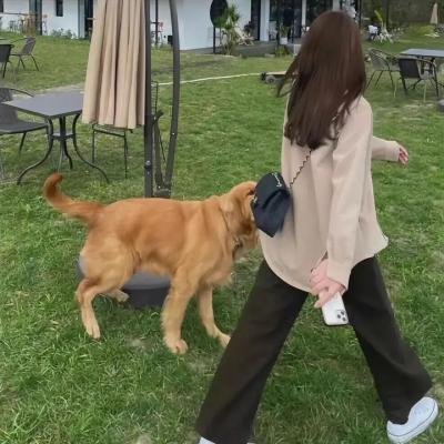潘朵拉的盒子